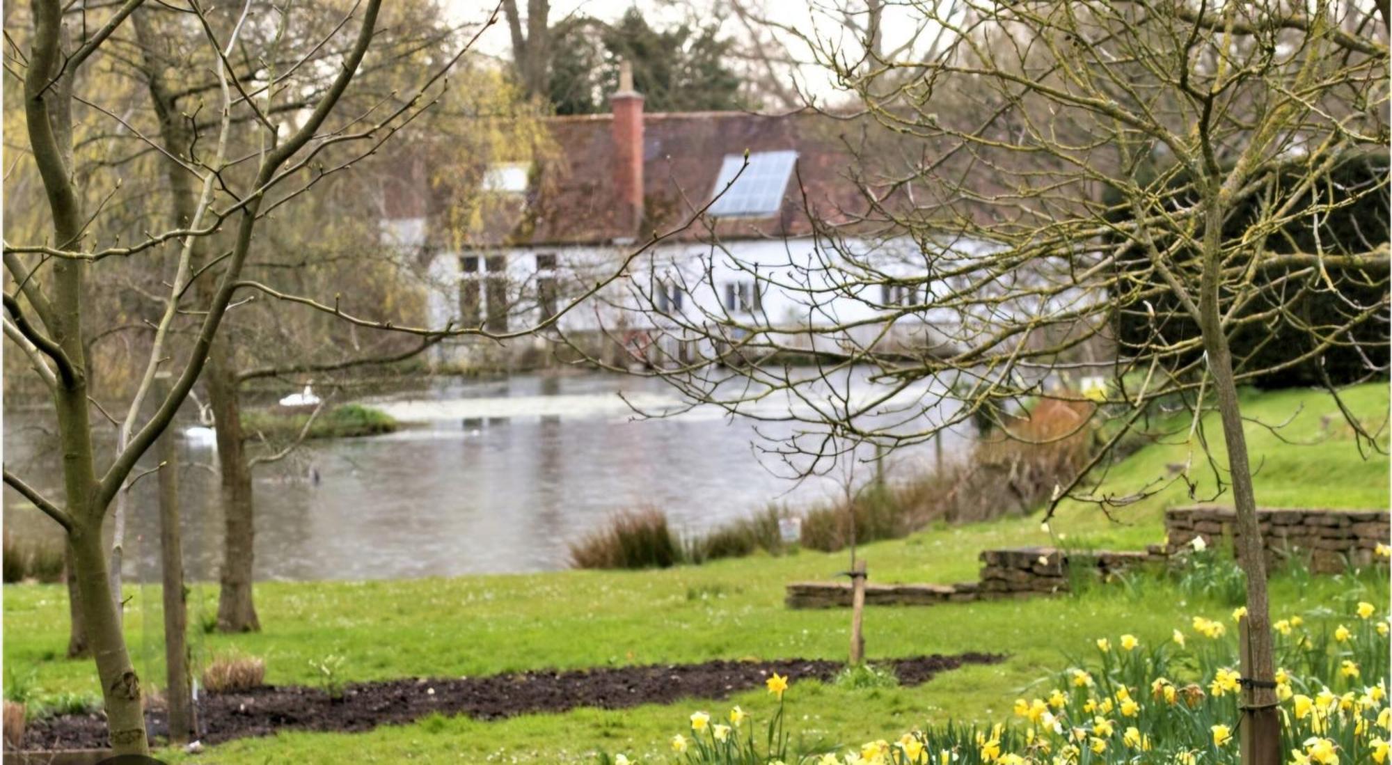 Hillarnias Tearoom And B&B Shaftesbury Exteriör bild